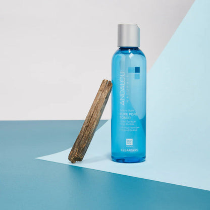Andalou Aloe + Willow Bark Pore Minimizer – Clarifying Toner for Oily, Acne-Prone Skin - 178ml Andalou Naturals