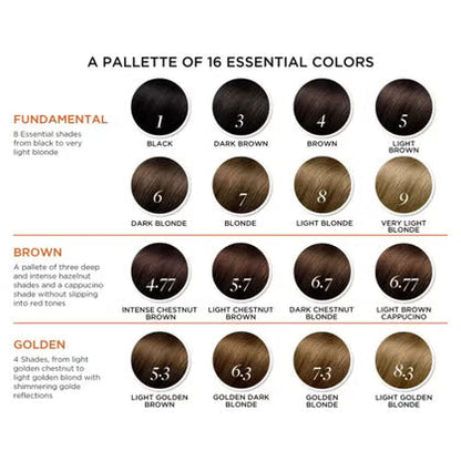 Phyto Phytocolor Permanent Hair Color - 4 Brown Phyto